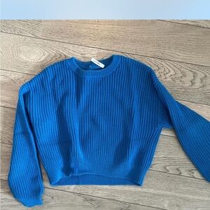 Blue ALC Sweater